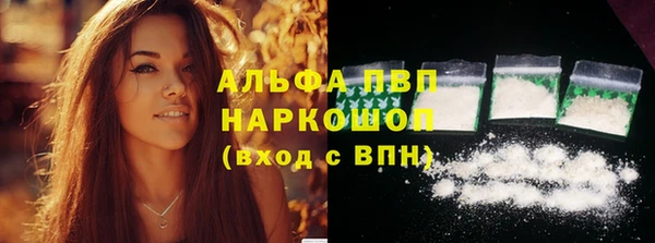 прущие грибы Баксан