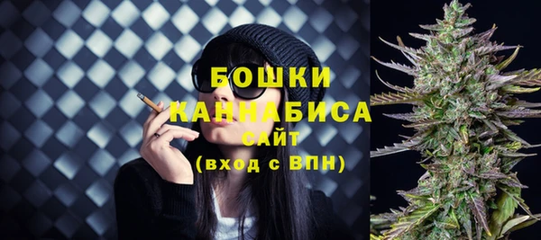 прущие грибы Баксан