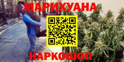 альфа пвп Аргун