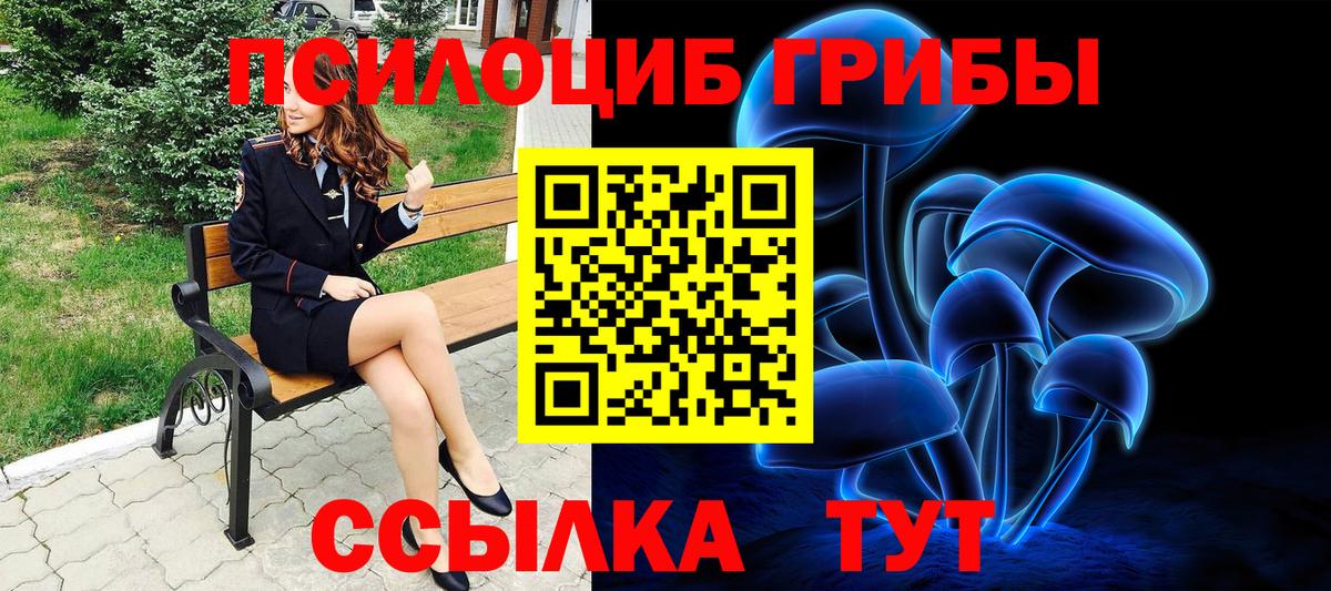 Псилоцибиновые грибы MAGIC MUSHROOMS Белово