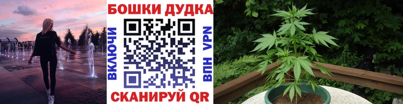 купить   Белово  Каннабис Ganja 